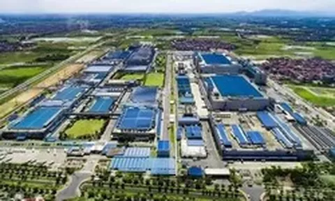 Ngược dòng thị trường, một phân khúc bất động sản vẫn bền bỉ tăng giá