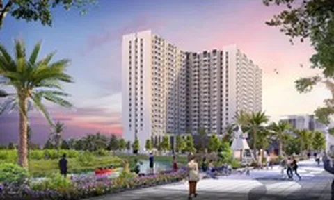 Bất ngờ một doanh nghiệp bất động sản trở thành cổ đông lớn của Cao su Miền Nam