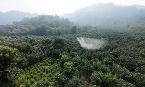 FPT Retail sắp triển khai hàng loạt UAV tại một tỉnh Tây Bắc, thực hiện nhiệm vụ quan trọng