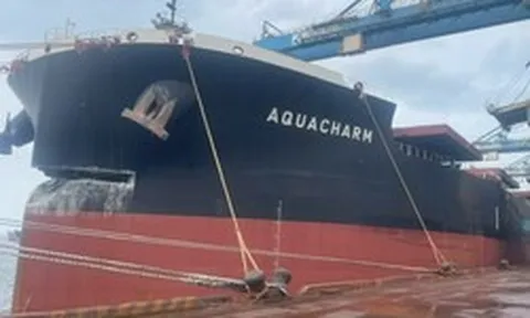 Tàu dài 300m chở 171.000 tấn quặng đâm hỏng cảng của tỷ phú Trần Đình Long: Hòa Phát yêu cầu bắt giữ, 12 hạng mục bị ảnh hưởng, bảo hiểm vào cuộc