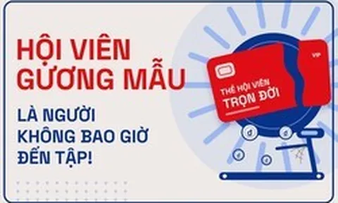 Ngành gym sống nhờ người lười tập và cú đứt gãy của "mật ngọt" thẻ membership: Khi tiền khách trả trước không còn đủ nuôi doanh nghiệp