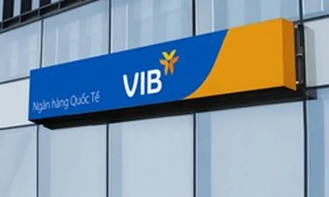Một nhóm cổ đông sở hữu hơn 8,6% vốn tại VIB