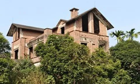 Biệt thự bỏ hoang ở Bắc Ninh: Cỏ dại mọc um tùm, nơi nuôi gà, vịt