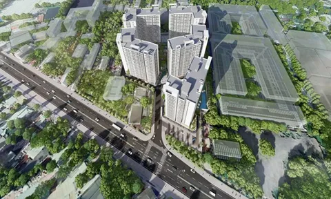 Tại sao SeaHoldings phát triến dự án chung cư tại Bến Lức?