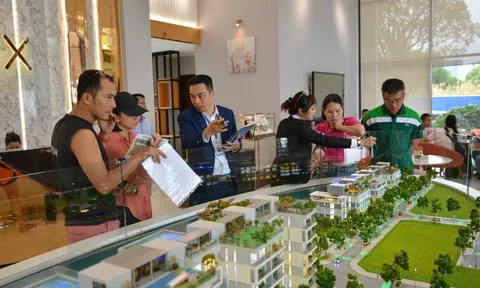 TTC Land sẵn sàng cho chu kỳ phục hồi mới