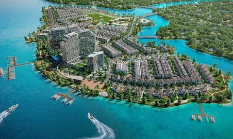 Đấu giá thành công, TTC Land chính thức sở hữu 100% dự án Cù Lao Tân Vạn