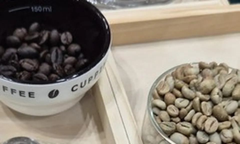 Giá cà phê hôm nay 17-6: Arabica bùng nổ, Robusta nối dài chuỗi tăng